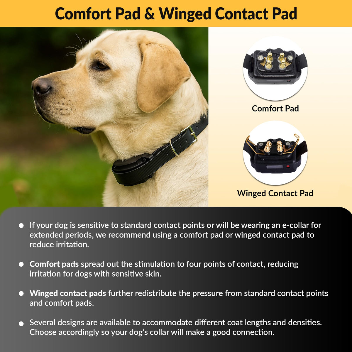 Brass Contact Pads for Training Collars R170