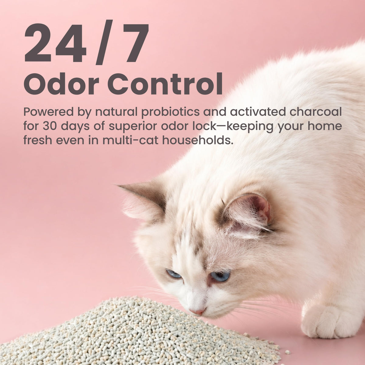 Pellet Tofu Cat Litter, Strong Clumping, Low Tracking Unscented 18lb M2942