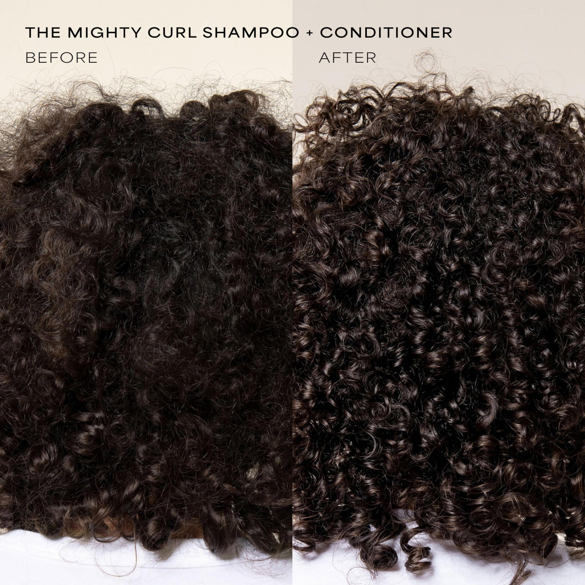 Shampoo and Conditioner Set 16 Fl Oz H44725