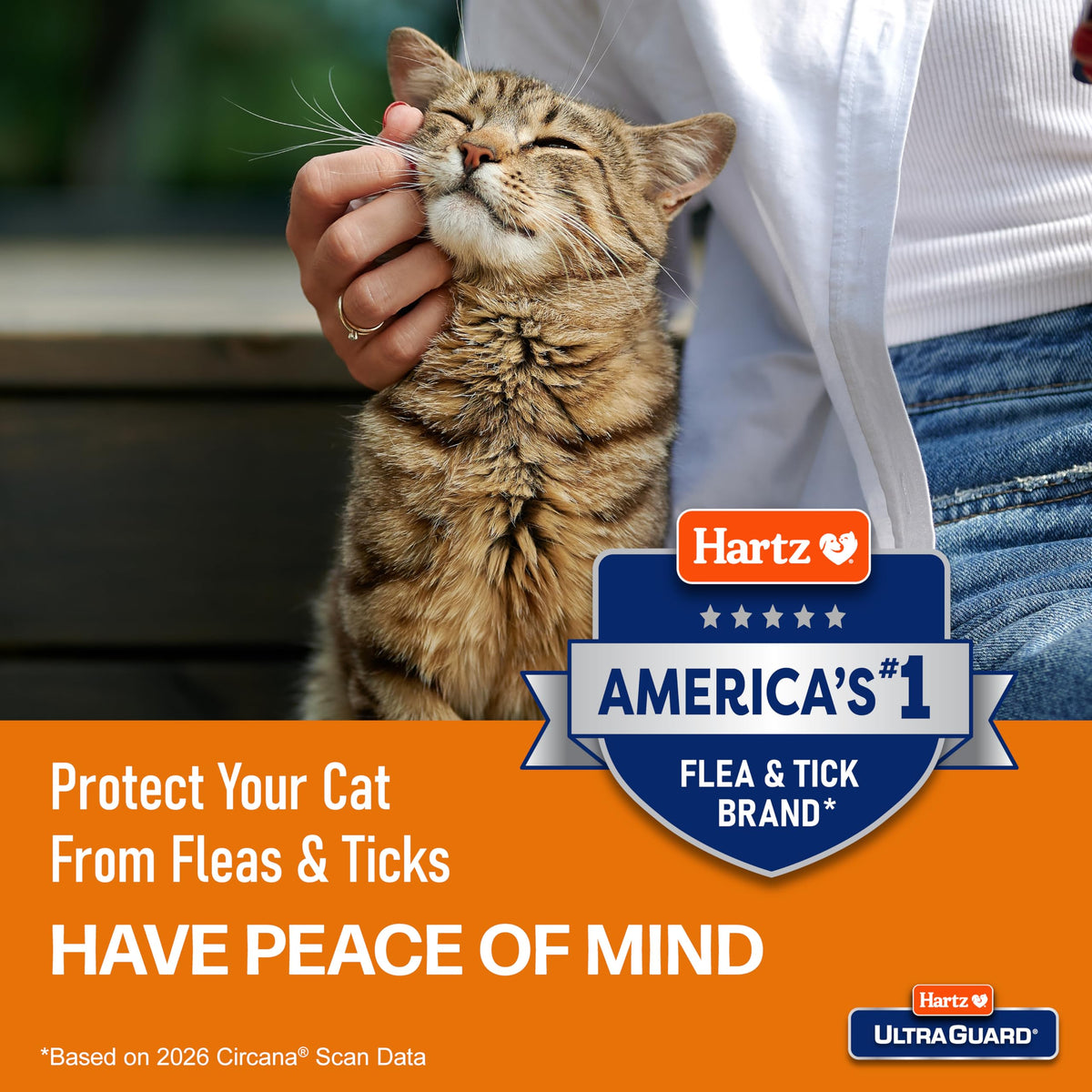 Flea & Tick Collar for Cats and Kittens I564676